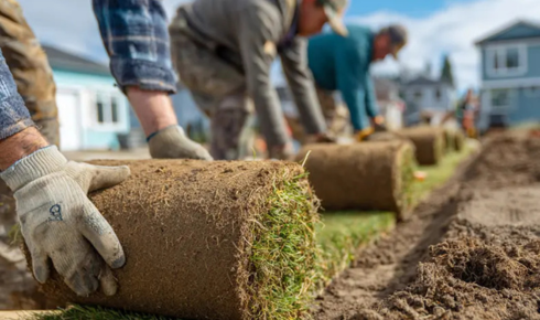 Landscaping services near me