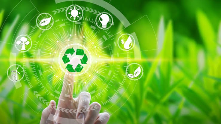 Carbon Credit Feasibility Study: Evaluating the Potential of Carbon Projects